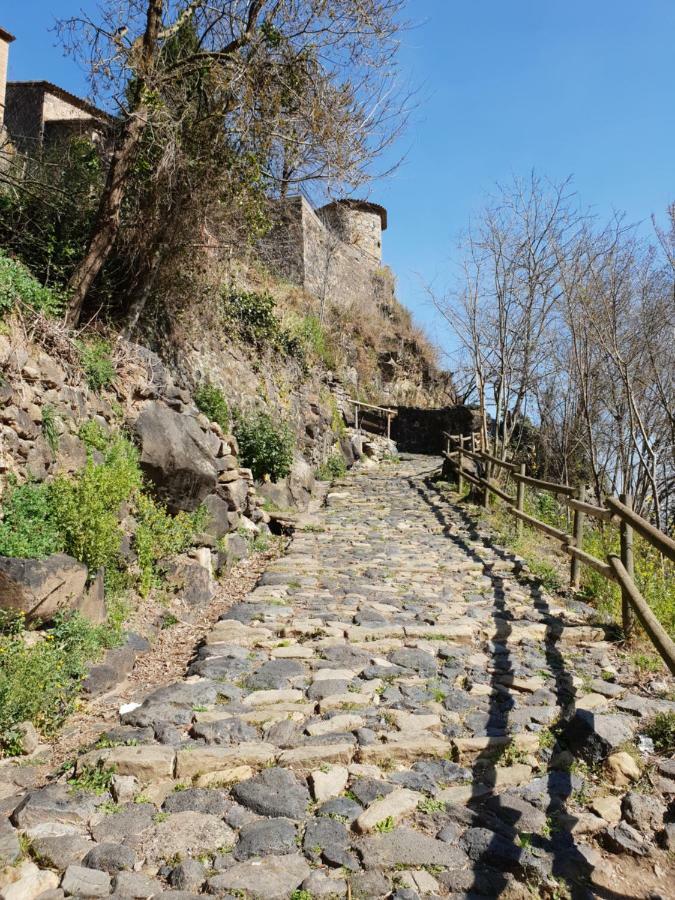 Ca La Rita Appartement Castellfollit de la Roca Buitenkant foto