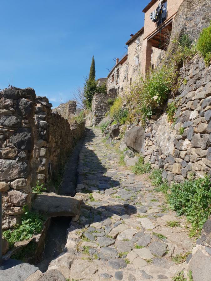 Ca La Rita Appartement Castellfollit de la Roca Buitenkant foto