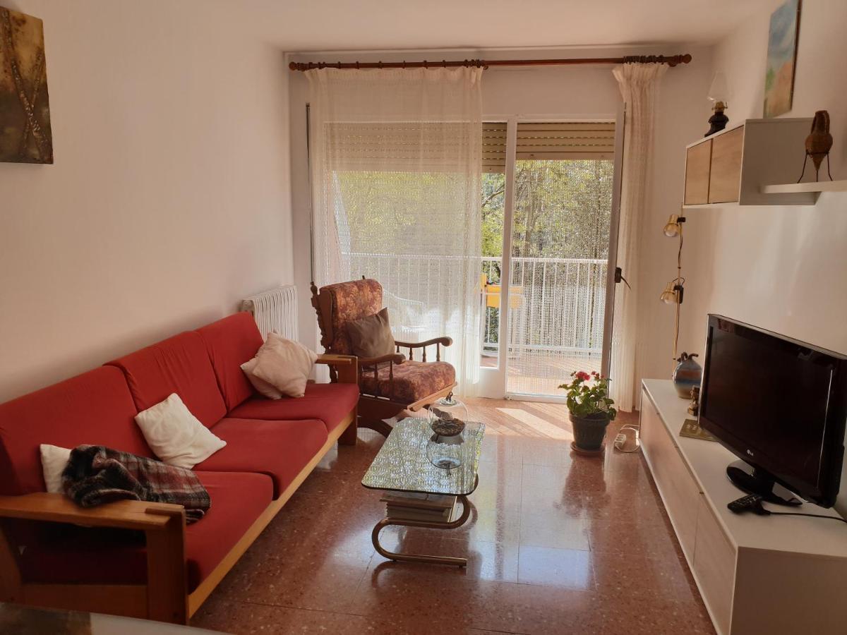 Ca La Rita Appartement Castellfollit de la Roca Buitenkant foto