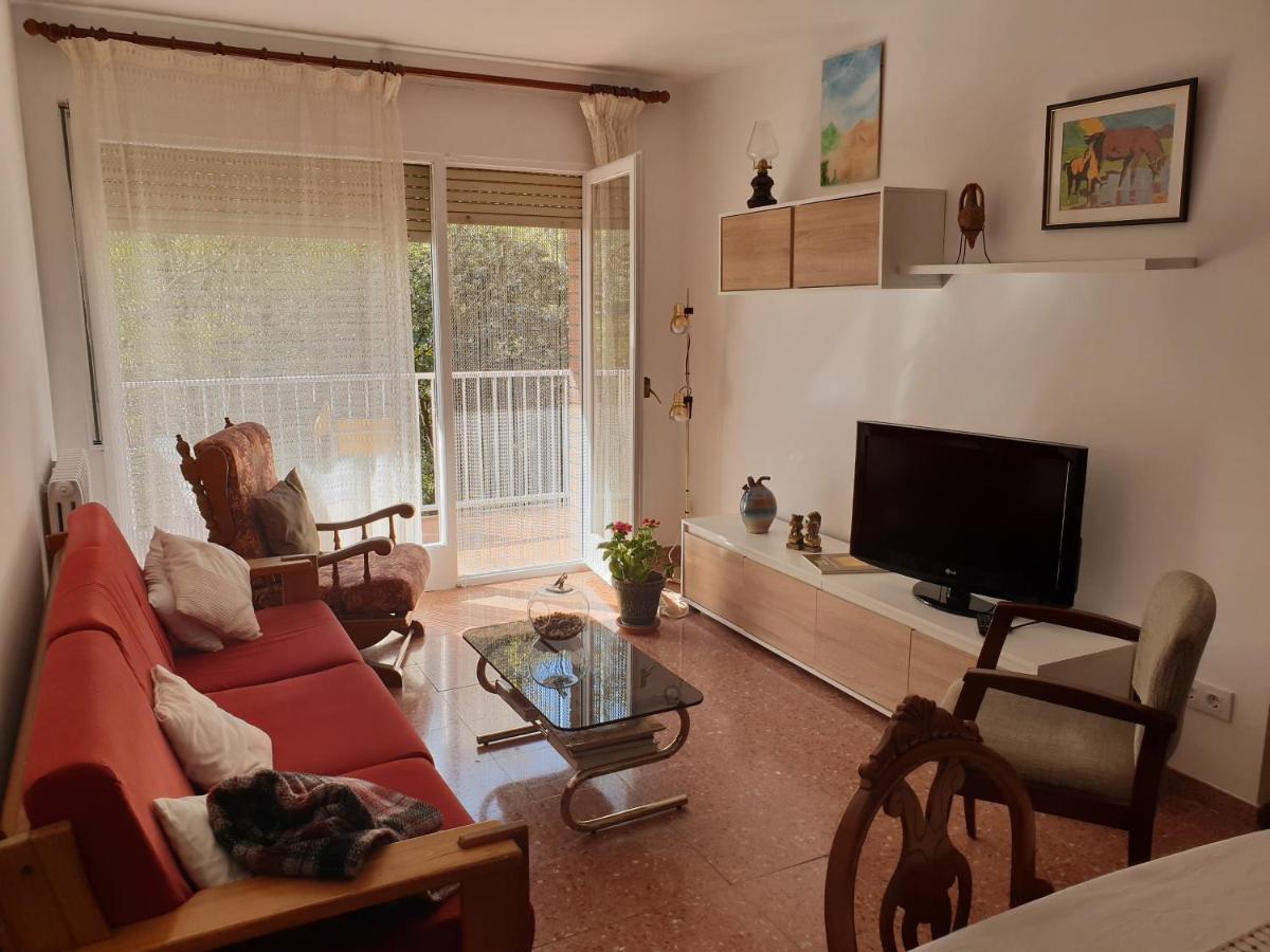 Ca La Rita Appartement Castellfollit de la Roca Buitenkant foto
